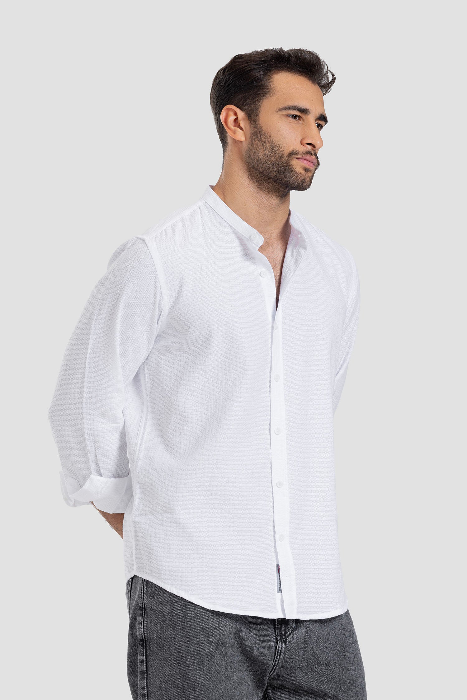 Mandarin collar Slim Fit Shirt