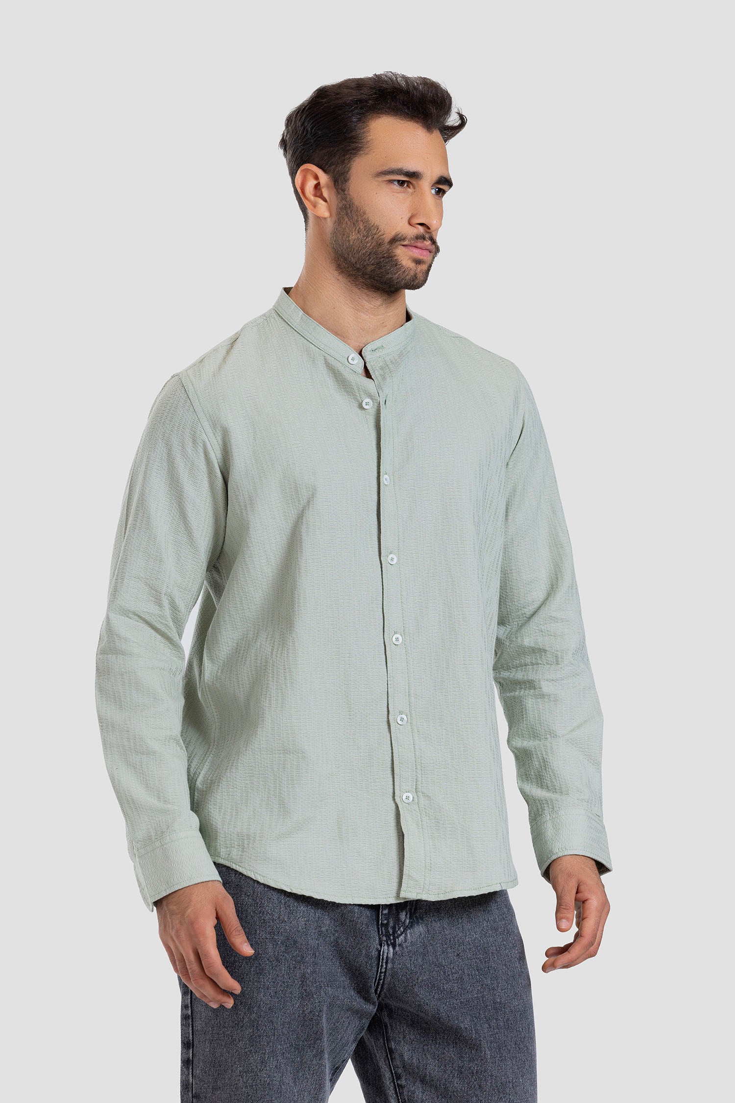 Mandarin collar Slim Fit Shirt