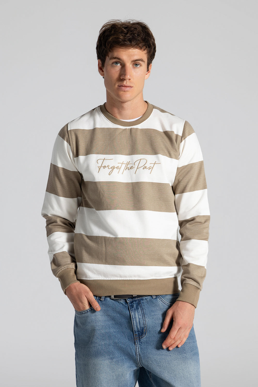 Crew Neck Striped Sweatshirt