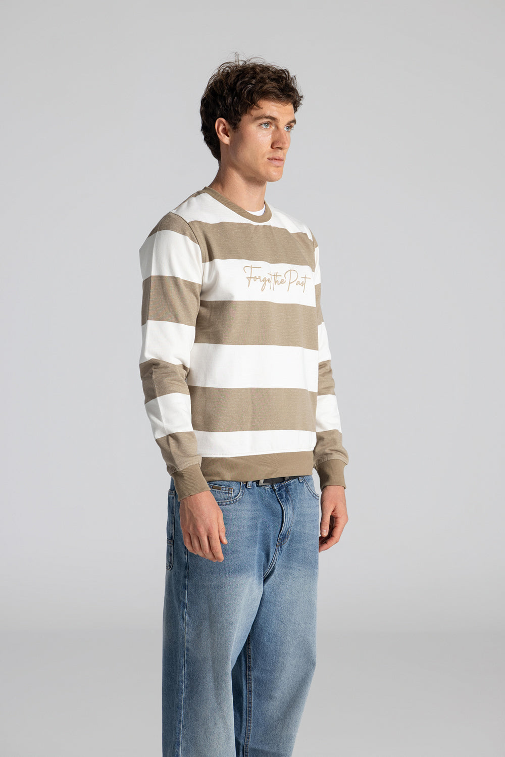 Crew Neck Striped Sweatshirt