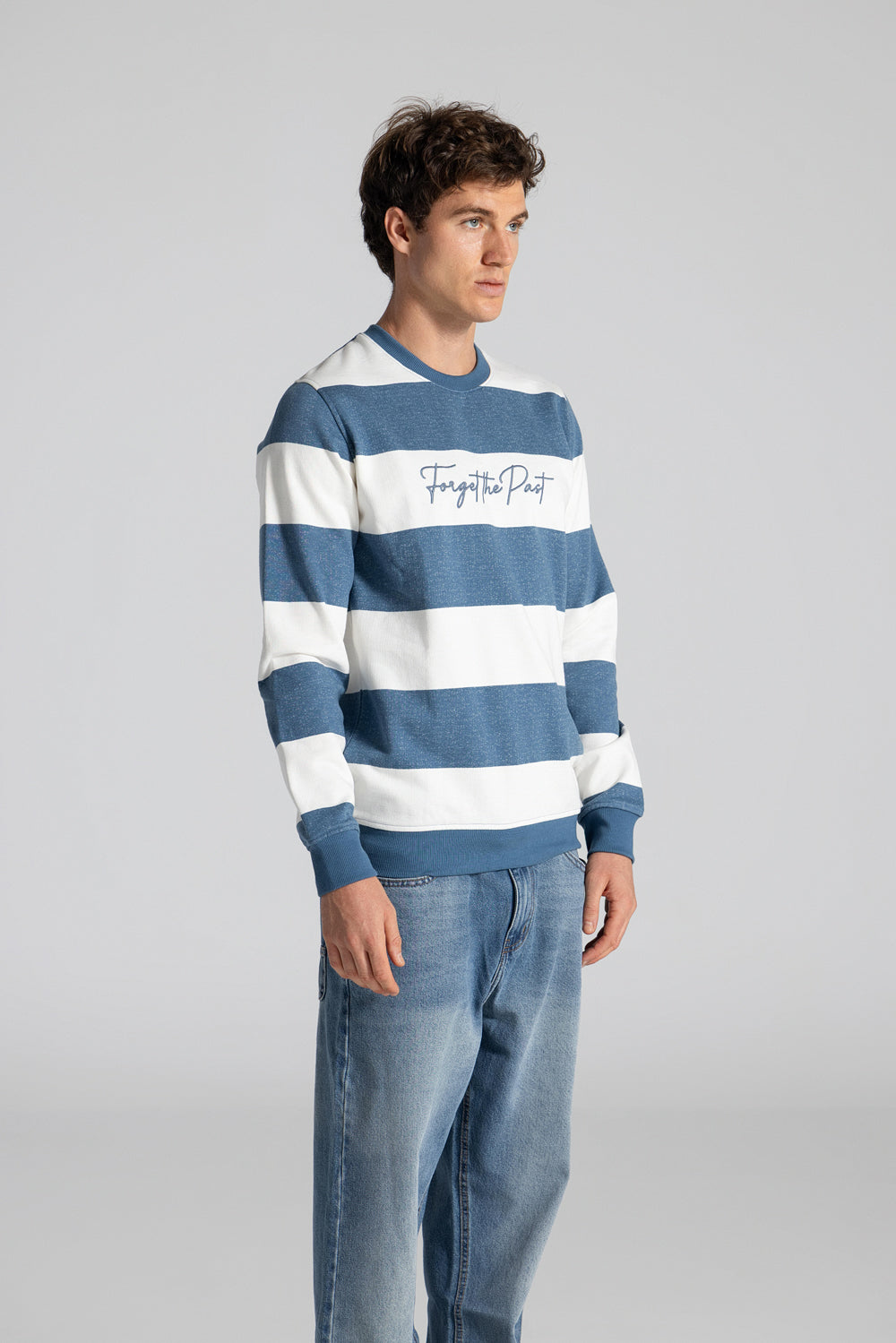 Crew Neck Striped Sweatshirt