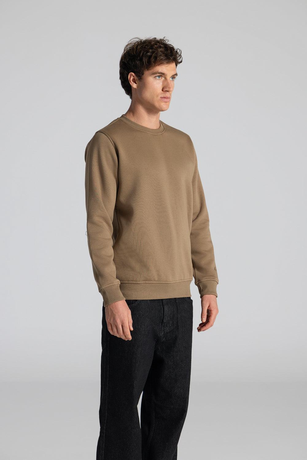 Basic Crew Neck Sweatshirt