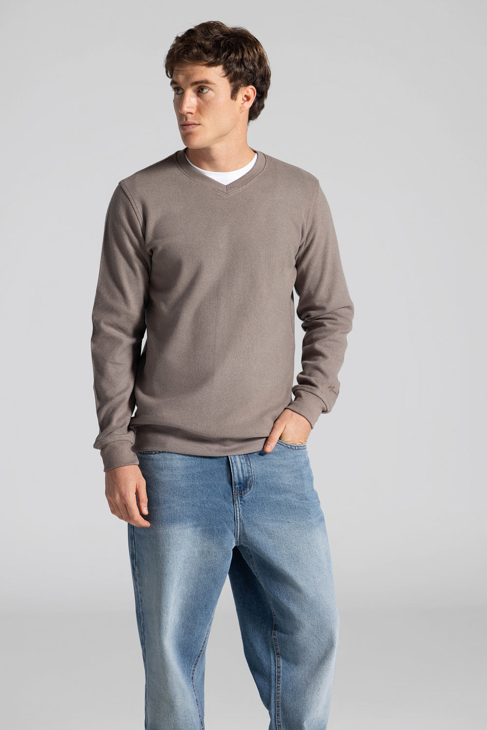 Basic V Neck Sweatshirt