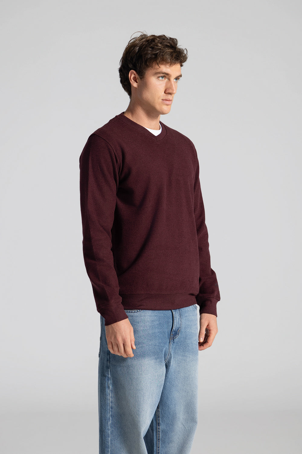 Basic V Neck Sweatshirt