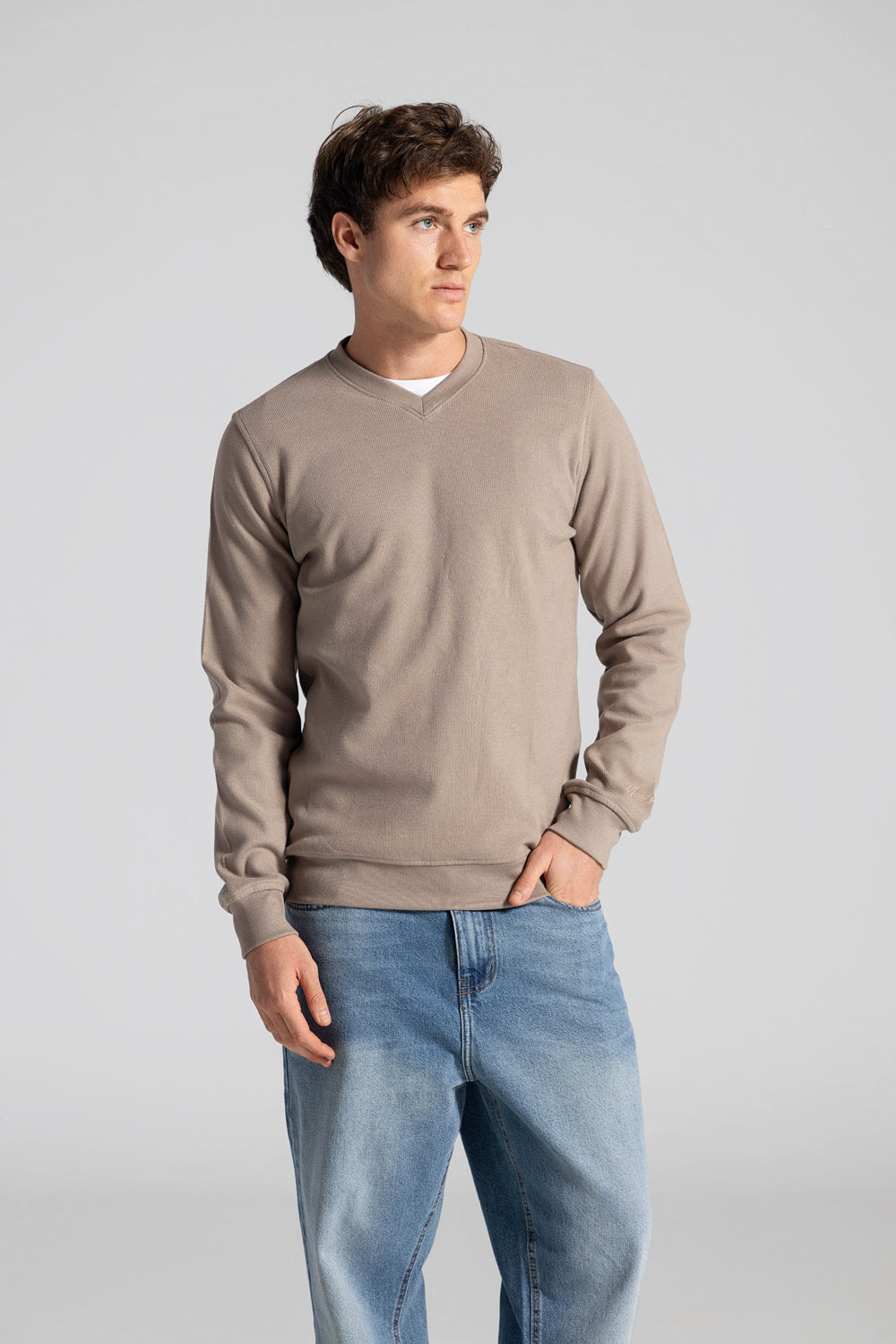 Basic V Neck Sweatshirt