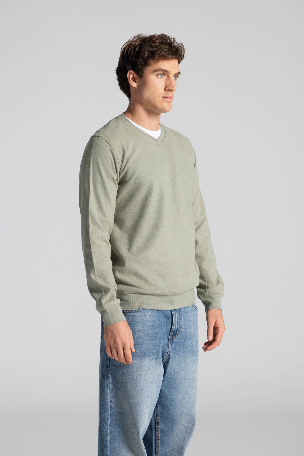 Basic V Neck Sweatshirt