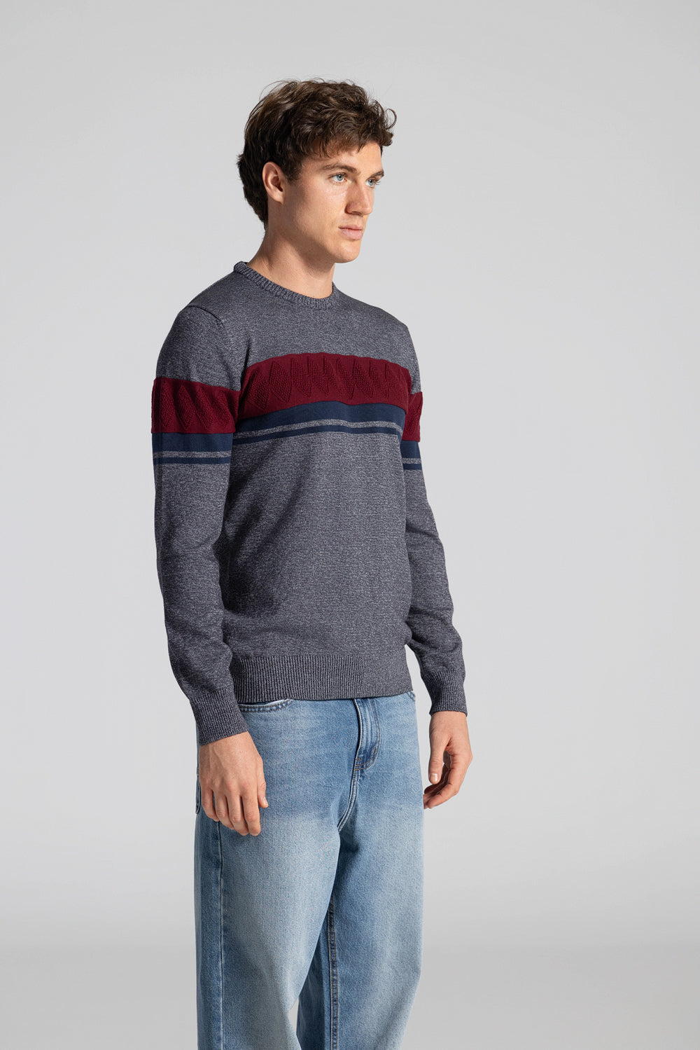 Striped crew Neck Pullover