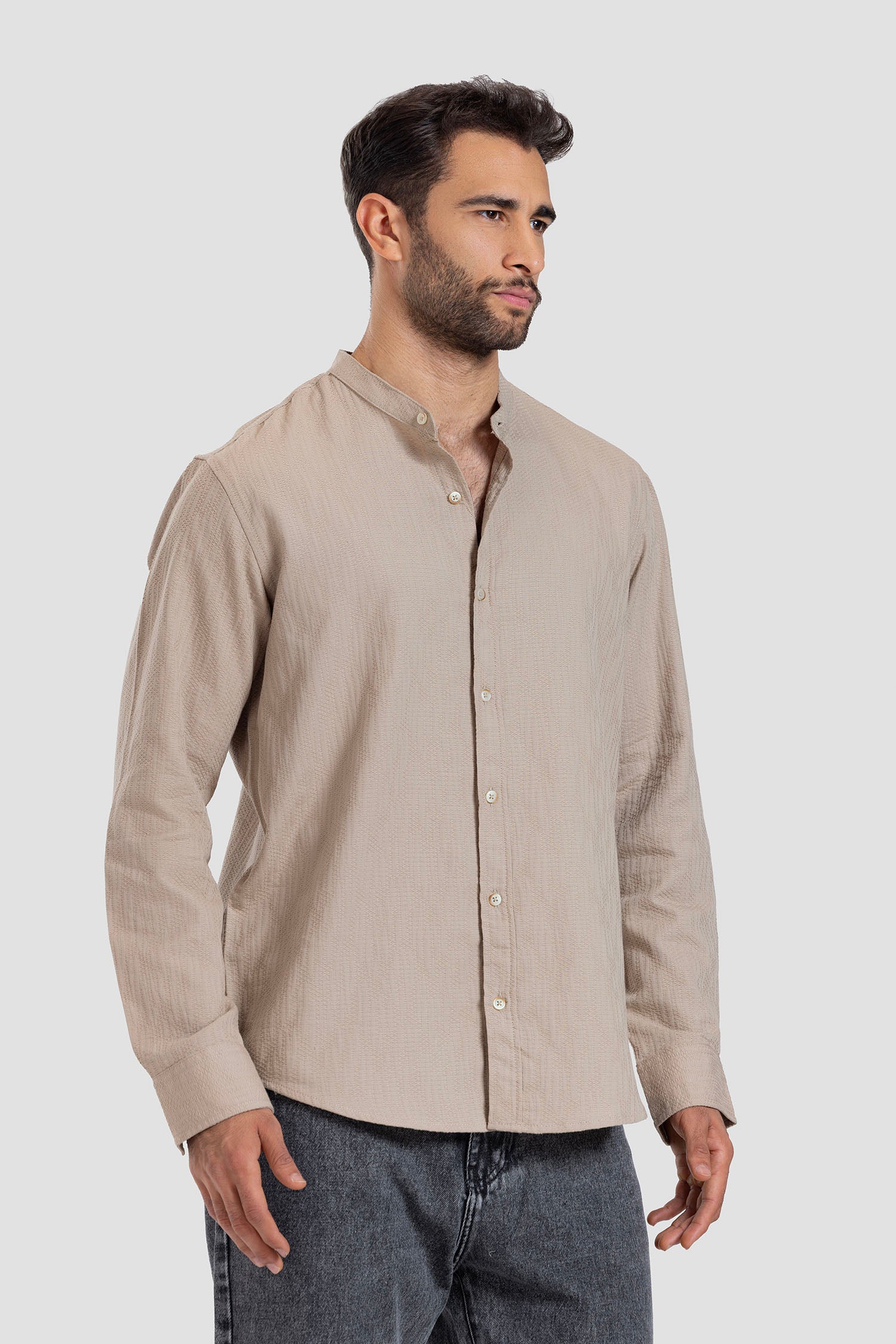 Mandarin collar Slim Fit Shirt